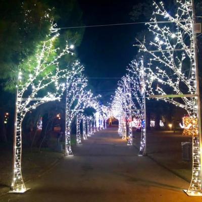 Addobbi Natalizi 105