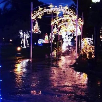 Addobbi Natalizi 133