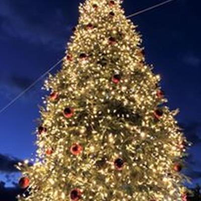 Addobbi Natalizi 137