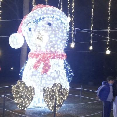 Addobbi Natalizi 141