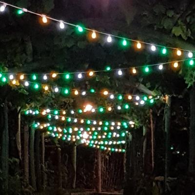 Luminarie Feste Private 8